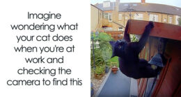 50 Funny Posts From “Animals Doing Things” That Might Bring Some Sunshine To Your Day