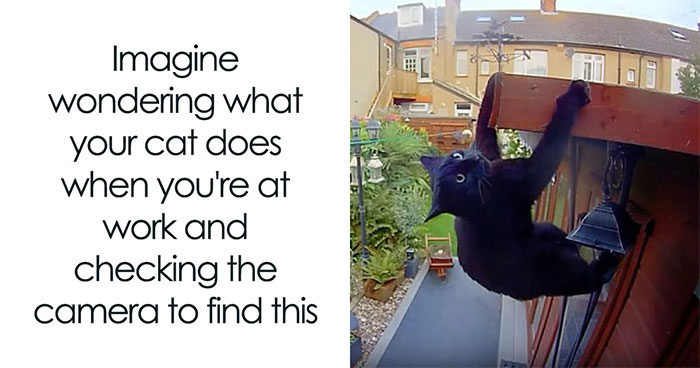 50 Funny Posts From “Animals Doing Things” That Might Bring Some Sunshine To Your Day