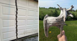 57 Cool Sticks People Found In The Wild That Could Even Serve As Blades, Staffs, And Swords