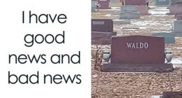 57 Funny And Relatable Memes That Are Equal Parts Ridiculous And Random