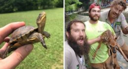 67 Pics Of Animals Who Were Saved From Awful Conditions And Got A Second Chance In Life