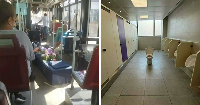 79 Cursed Photos That Make Absolutely Zero Sense But Live Rent‑Free In Our Brains