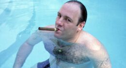 8 Game-Changing Crime TV Shows That Totally Rewrite Genre Rules