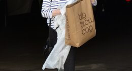 One of the most prolific actresses of the 80s had fans doing a double take on Monday, as she appeared almost unrecognizable during a rare outing in Los Angeles