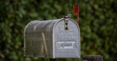 83% Of Voters Want Ballots 'Received By Election Day'
