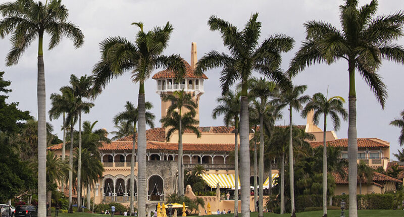 A Democrat Will Now Represent Trump in the Florida Legislature.