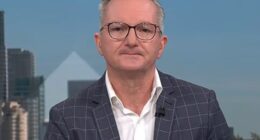 Chris Bowen (pictured) said that the government was not considering fuel rationing