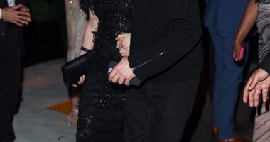 Adrien Brody and Georgina Chapman have made their first public appearance since Harvey Weinstein's bombshell Hollywood Reporter interview