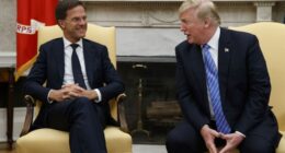 Allies Rally on Hormuz - Rutte’s Trump Praise Blows Up Dem Talking Points – RedState