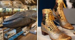 “Almost Perfectly Preserved”: 35 Antique Items That Hold The Secrets Of History