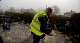 Catalin Stancu was caught on the Ring doorbell footage brazenly stealing the cat while making deliveries