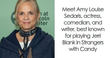 Amy Sedaris: Bio And Career Highlights