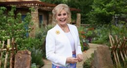 Angela Rippon net worth
