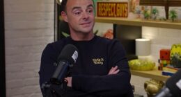 Ant and Dec have both admitted that they wished they had had children earlier in life, calling fatherhood 'our biggest achievement'