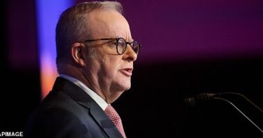 Prime Minister Anthony Albanese will give a speech in support of Australian Automotive Industry at a breakfast event titled' State of the Industry', in Sydney, Wednesday, March 18, 2026. (AAP Image/Flavio Brancaleone) NO ARCHIVING