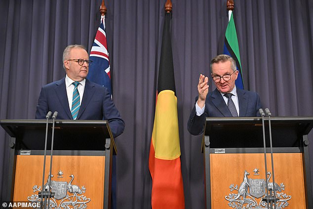 Six fuel shipments to Australia had been cancelled but Anthony Albanese and Energy Minister Chris Bowen confirmed on Friday that 'alternative sources' had been found