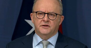 Anthony Albanese said Australia's fuel supply outlook remains secure 'in the near term'