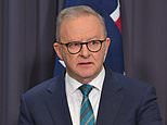 Anthony Albanese's government to HALVE major tax amid fuel crisis: What it means for you
