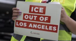 Anti-ICE Activist in Los Angeles Learns It's Not a Good Idea to Block an SUV – RedState