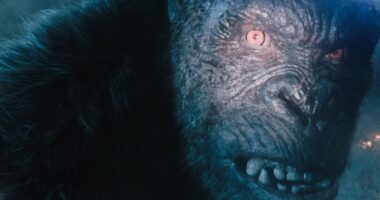 Apple TV’s Latest Renewal Is a Reminder That the Greatest TV Doesn’t Have To Be Sci-Fi or Fantasy