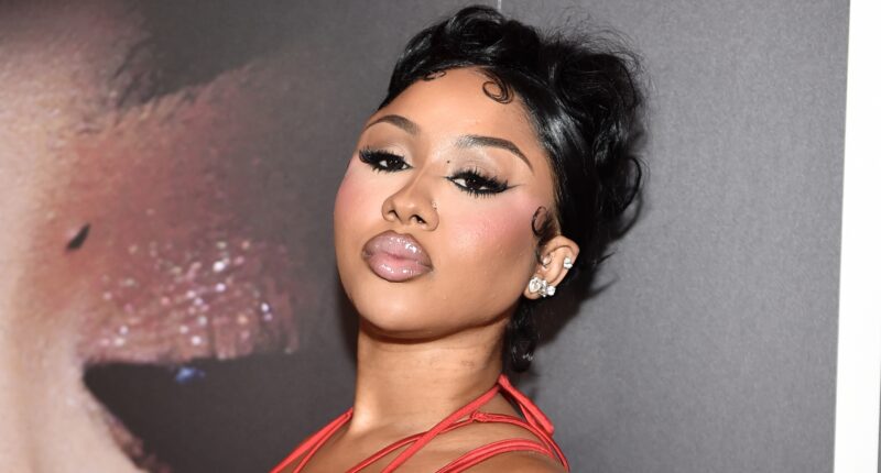 Pink Hair Don't Care! Ari Fletcher Turns Heads With Risqué NEW LOOK For Recent Shoot (VIDEOS)