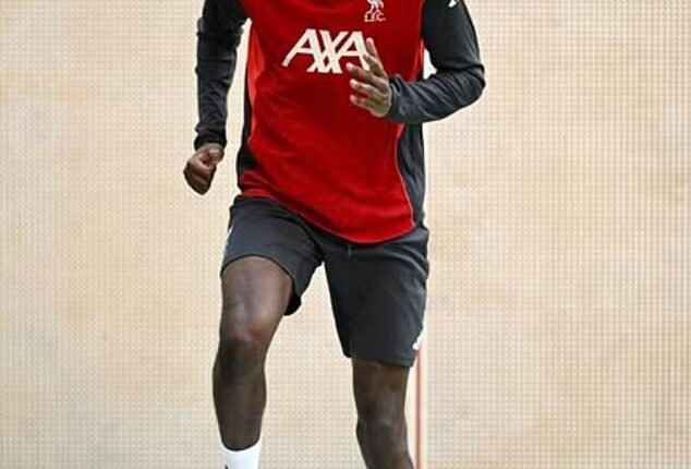 Alexander Isak has been out of action since breaking his leg against Tottenham last December