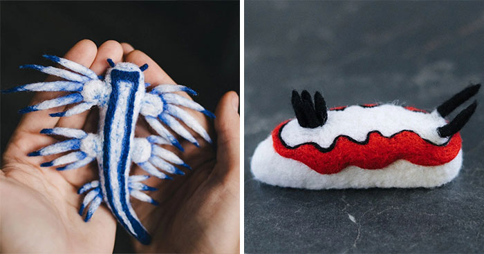 Artist Creates Adorable Felted Figurines Inspired By Colorful Sea Slug Species (34 Pics)