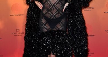 Ashley Roberts, 44, donned a sheer black dress with a plunging neckline, and a flamboyant feather hem as she arrived at the BRITs afterparty