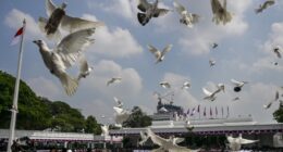 At a divided Fed, doves likely to rule the roost and push for more rate cuts this year