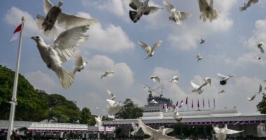 At a divided Fed, doves likely to rule the roost and push for more rate cuts this year