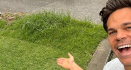 Jimmy Nicholson noticed the nature strip outside his neighbour's home was freshly trimmed but stopped around a metre from his own driveway, leaving behind long blades of bushy grass
