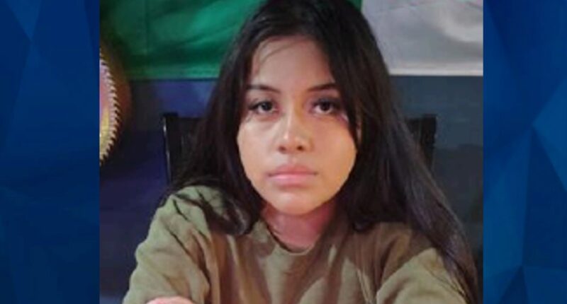 BOLO: Illinois Teen Girl, 15, Vanishes After Leaving School