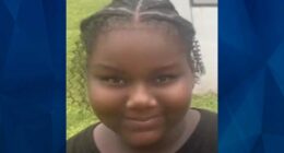 BOLO: Police Seek Tips on Missing 11-Year-Old Florida Girl