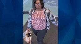 BOLO: Police Seek Tips on Missing Florida Woman Last Seen at Airport