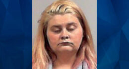 Babysitter Charged With Newborn’s Death, Blames Her Own Toddler