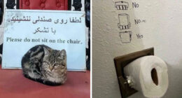 “Be Ungovernable”: 67 First-World Anarchists Who Aren’t Afraid To Do Or Say What Many Others Are Thinking (New Pics)