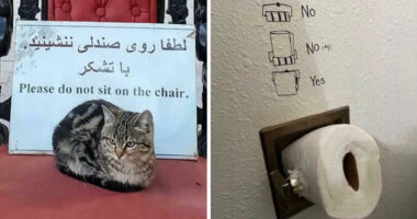 “Be Ungovernable”: 67 First-World Anarchists Who Aren’t Afraid To Do Or Say What Many Others Are Thinking (New Pics)