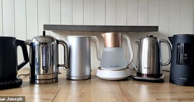 (L-R) Kettles from Ninja, Dualit, Zwilling, Russell Hobbs, Breville and Lakeland
