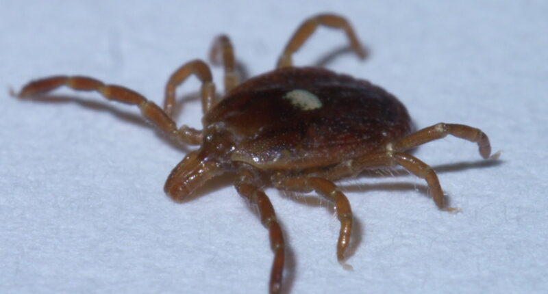 Biochemist and mRNA Pioneer Says CIA Used Ticks as Bio-Weapon.