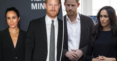 Blow to Prince Harry and Meghan Markle in security battle with British government