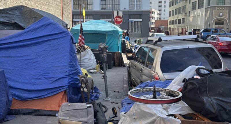 Blue State Failure Is Destroying Federalism And The Constitution