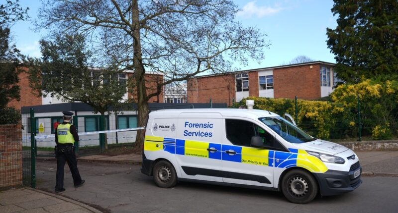 Boy, 15, charged with attempted murder after teenage girl stabbed at Norwich school