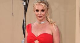 Britney Spears Released From Custody Detained Arrest In California For Alleged DUI 