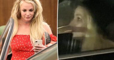 Britney Spears seen for the first time since DUI arrest