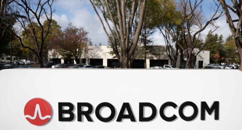 Broadcom says AI is not disrupting its software business, and its stock climbs