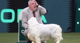 Calls for Crufts winner to have award removed after animal cruelty conviction revealed