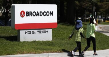 Can Broadcom’s stock break the software curse after earnings? Here’s what Wall Street is saying.