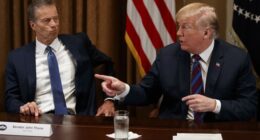 Can We Talk About the So-Called Talking Filibuster and Why It Won't Save the SAVE Act? – HotAir