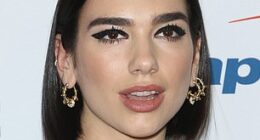 Dua Lipa's brows in 2018