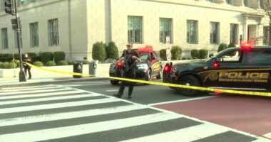 Car Hits White House Barricade, Secret Service Investigating.